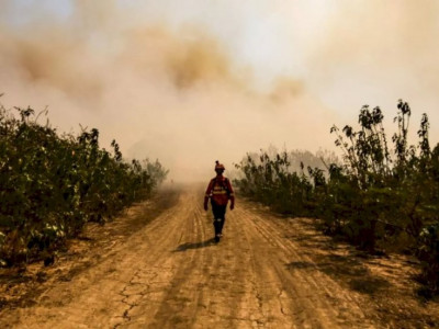Incêndios já consumiram quase 2 milhões de hectares no Pantanal de MS Incêndios já consumiram quase 2 milhões de hectares no Pantanal de MS