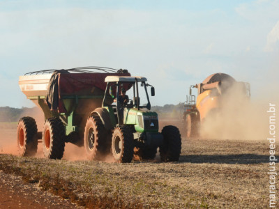 Clima derrubou o valor da produção agropecuária em 14,45% no Estado Clima derrubou o valor da produção agropecuária em 14,45% no Estado