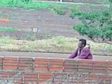 Maracaju: Homem é preso em flagrante após invadir e furtar residência Maracaju: Homem é preso em flagrante após invadir e furtar residência