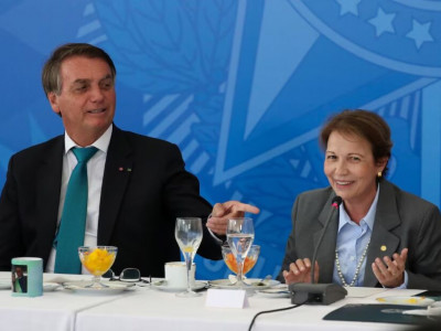 Bolsonaro detona senadora de MS e manda recado para Tereza Cristina Bolsonaro detona senadora de MS e manda recado para Tereza Cristina