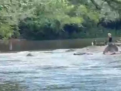 Bombeiros procuram por jovem que desapareceu no rio Dourados em MS Bombeiros procuram por jovem que desapareceu no rio Dourados em MS