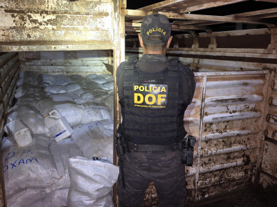 DOF apreende caminhão boiadeiro com mais de R$ 4 milhões em defensivos agrícolas contrabandeados DOF apreende caminhão boiadeiro com mais de R$ 4 milhões em defensivos agrícolas contrabandeados