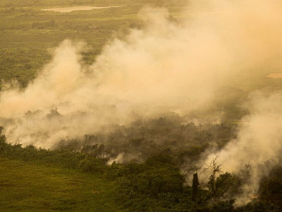 Fazendeiros são multados em R$ 725 milhões por danos ambientais ao Pantanal Fazendeiros são multados em R$ 725 milhões por danos ambientais ao Pantanal