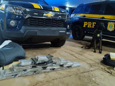Quatro passageiros são presos transportando cocaína em ônibus de viagem Quatro passageiros são presos transportando cocaína em ônibus de viagem
