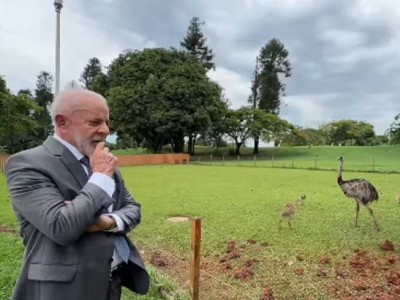 Lula despenca 10 pontos em nova pesquisa; povo furioso com economia Lula despenca 10 pontos em nova pesquisa; povo furioso com economia