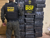 Mineiros que seguiam para Uberlândia com mais de meia tonelada de maconha são presos pelo DOF em Campo Grande Mineiros que seguiam para Uberlândia com mais de meia tonelada de maconha são presos pelo DOF em Campo Grande