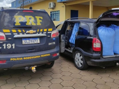 Polícia apreende 200 quilos de folhas de coca na rodovia BR-267 Polícia apreende 200 quilos de folhas de coca na rodovia BR-267
