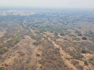 Incêndio de grandes proporções no Pantanal é investigado pelo MPMS Incêndio de grandes proporções no Pantanal é investigado pelo MPMS