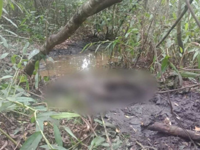 Corpo encontrado em córrego no distrito de Anhanduí é identificado Corpo encontrado em córrego no distrito de Anhanduí é identificado