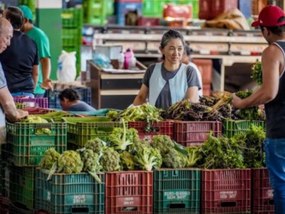 Anvisa inicia monitoramento de resíduos de agrotóxicos em alimentos Anvisa inicia monitoramento de resíduos de agrotóxicos em alimentos