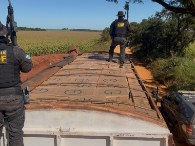 DOF apreende mais de 42 mil pacotes de cigarros contrabandeados em carreta DOF apreende mais de 42 mil pacotes de cigarros contrabandeados em carreta
