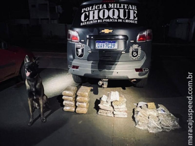 Operação prende 14 suspeitos e recaptura outros 9 foragidos em MS Operação prende 14 suspeitos e recaptura outros 9 foragidos em MS