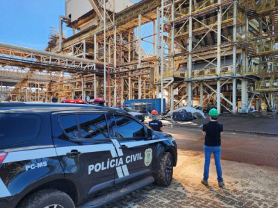 Polícia incinera 274 kg de maconha após operações integradas em MS Polícia incinera 274 kg de maconha após operações integradas em MS