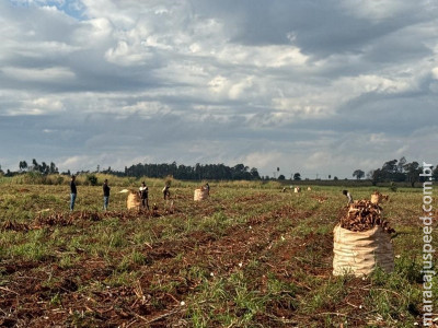 Força-tarefa resgata sete paraguaios vítimas de escravidão contemporânea em Itaquiraí Força-tarefa resgata sete paraguaios vítimas de escravidão contemporânea em Itaquiraí