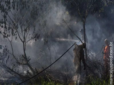 Moradores usam pá para impedir que incêndio atinja barracos na Vila Morumbi Moradores usam pá para impedir que incêndio atinja barracos na Vila Morumbi