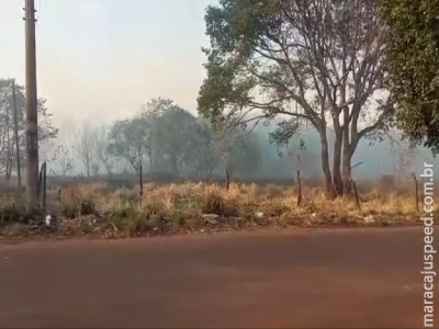 Fumaça de terreno em chamas prejudica moradores no Pioneiros e Universitário Fumaça de terreno em chamas prejudica moradores no Pioneiros e Universitário