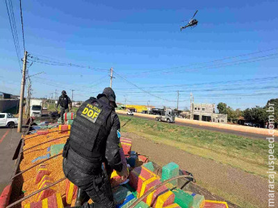 Maconha apreendida em MS escondida em carga de milho ultrapassa 15 toneladas Maconha apreendida em MS escondida em carga de milho ultrapassa 15 toneladas