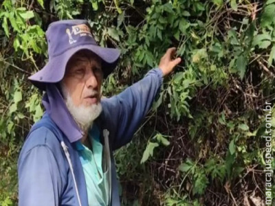 Morre o professor Nestor Antônio Heredia Zarate, ícone da agronomia em Dourados Morre o professor Nestor Antônio Heredia Zarate, ícone da agronomia em Dourados