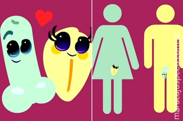 Animação infantil mostrando desenhos de órgãos genitais causa polêmica na internet