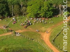 União deve demarcar terras indígenas e indenizar fazendeiros por terras ocupadas no MS União deve demarcar terras indígenas e indenizar fazendeiros por terras ocupadas no MS