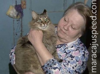 Gata salva a vida de bebê abandonado em prédio Gata salva a vida de bebê abandonado em prédio