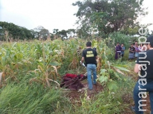 Mulher é encontrada morta em milharal na aldeia Bororó Mulher é encontrada morta em milharal na aldeia Bororó