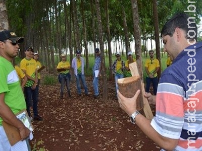 De olho no mercado, jovens procuram qualificação para atuar no sistema de ILPF De olho no mercado, jovens procuram qualificação para atuar no sistema de ILPF