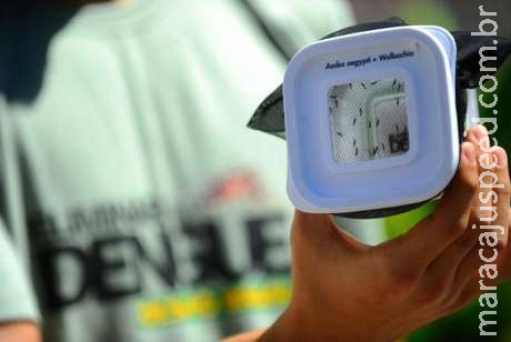 Prefeitura de Três Lagoas investiga morte por dengue Prefeitura de Três Lagoas investiga morte por dengue