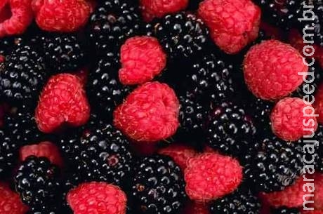 Frutas vermelhas ajudam a prevenir câncer e retardar envelhecimento Frutas vermelhas ajudam a prevenir câncer e retardar envelhecimento