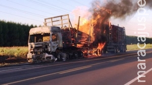 Carreta carregada com eucalipto é destruída pelas chamas na BR-262 Carreta carregada com eucalipto é destruída pelas chamas na BR-262