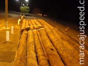 Empresas são multadas em R$ 46,7 mil por transporte de madeira nobre