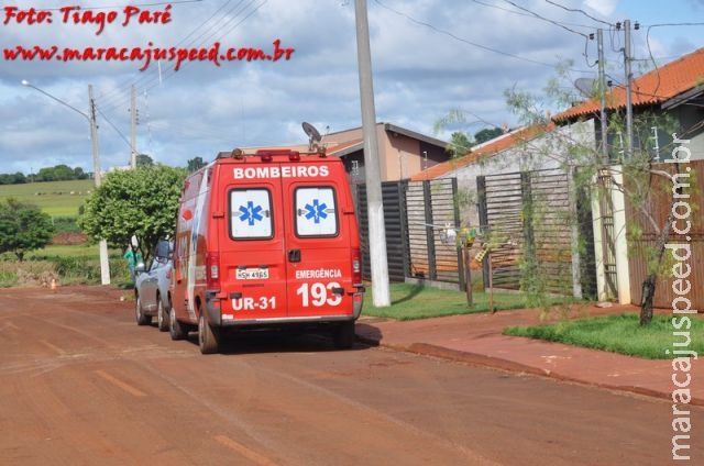 Maracaju: Curicaca ferida cai em quintal de residência e é resgatada pelo Corpo de Bombeiros