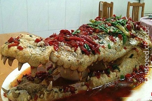 Imagens de crocodilo sendo servido em casamento causa polêmica na internet Imagens de crocodilo sendo servido em casamento causa polêmica na internet