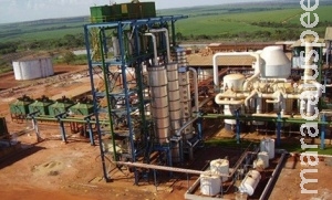 Três usinas cometem irregularidades e governo suspende benefícios fiscais Três usinas cometem irregularidades e governo suspende benefícios fiscais
