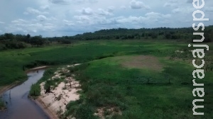 Estiagem do rio Paraná compromete produção de peixes e gado de MS Estiagem do rio Paraná compromete produção de peixes e gado de MS