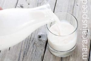 Leite não é "alimento perfeito", segundo estudos Leite não é "alimento perfeito", segundo estudos