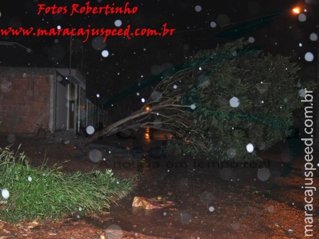 Chuva com ventos fortes derruba árvores e causa apagão em alguns bairros de Maracaju