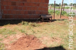 Acusado por homicídio pediu licença e matou a esposa a facadas e tiros Acusado por homicídio pediu licença e matou a esposa a facadas e tiros