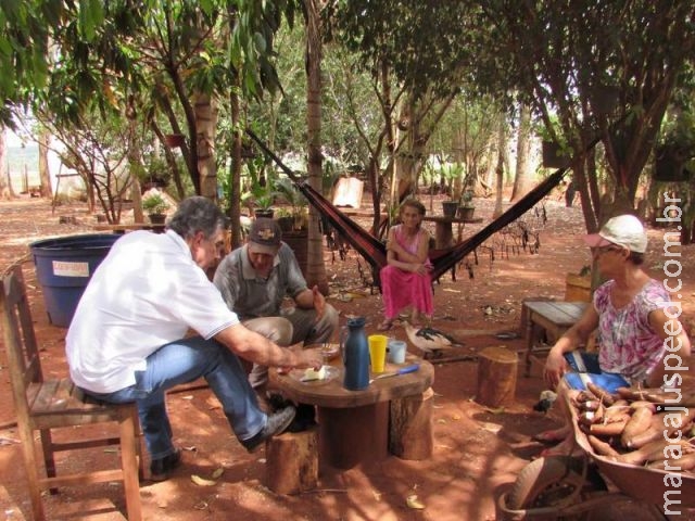 Prefeitura de Maracaju incentiva agricultura familiar e garante merenda de qualidade