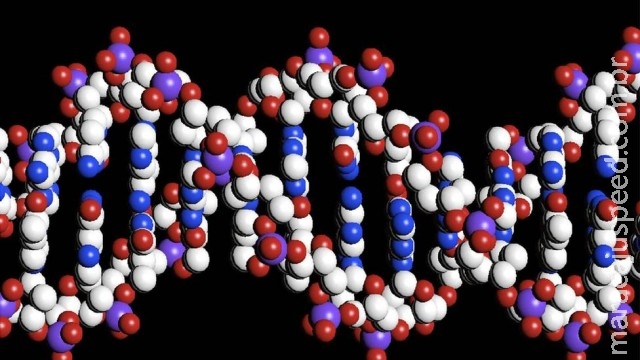 Cientistas criam técnica para armazenar dados em DNA por milhares de anos