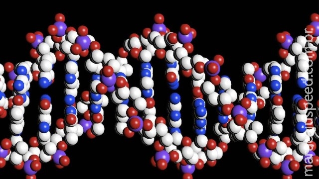 Cientistas criam técnica para armazenar dados em DNA por milhares de anos Cientistas criam técnica para armazenar dados em DNA por milhares de anos