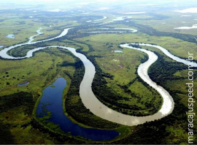 Pantanal é eleito um dos melhores destinos de vida selvagem no mundo Pantanal é eleito um dos melhores destinos de vida selvagem no mundo