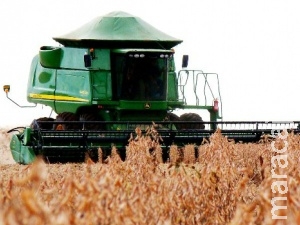 Fevereiro inicia com avanço de 10% na colheita da soja em MS