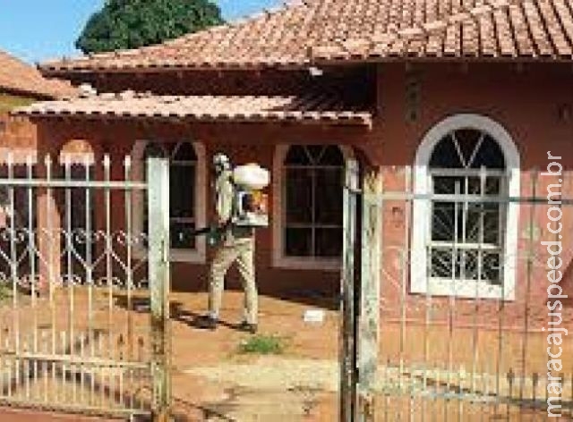 Dengue causa segunda morte em MS e mais de 1.500 registros em 14 dias Dengue causa segunda morte em MS e mais de 1.500 registros em 14 dias