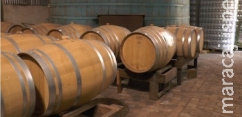 Laboratório da USP cria cachaça com qualidade de uísque 12 anos Laboratório da USP cria cachaça com qualidade de uísque 12 anos