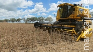 Chuva dá trégua e produtores aceleram colheita de soja em Mato Grosso do Sul Chuva dá trégua e produtores aceleram colheita de soja em Mato Grosso do Sul