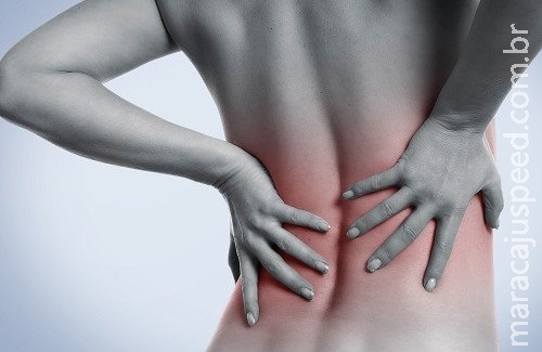 Evite os cálculos renais: veja hábitos saudáveis que ajudam prevenir pedra nos rins Evite os cálculos renais: veja hábitos saudáveis que ajudam prevenir pedra nos rins
