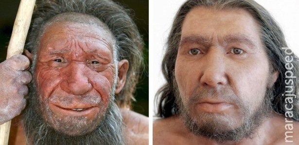 Neandertais dividiam o trabalho segundo o sexo, aponta estudo 