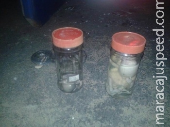 Fetos são encontrados em potes de vidro Fetos são encontrados em potes de vidro