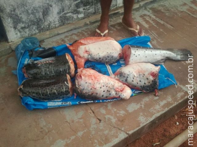 PMA prende servidor público que ofereceu aos policiais 30 kg de pescado capturados durante a piracem